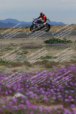 media/Jan-14-2023-SoCal Trackdays (Sat) [[497694156f]]/Turn 14 Exit Bloomig (145pm)/